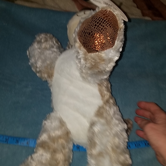 Brand new puppy - Picture 3 of 7